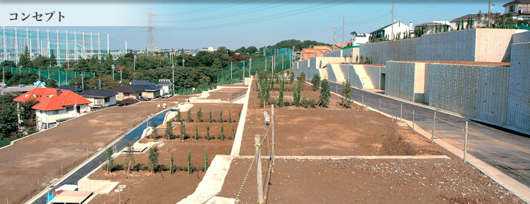 RZvg